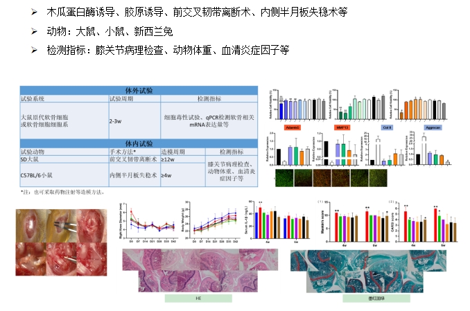 尊龙凯时人生就是博(中国)Z6官网