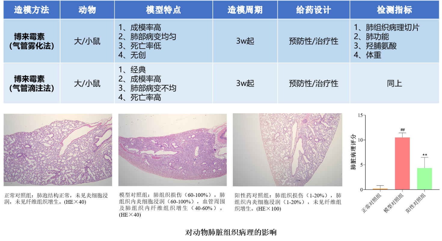 尊龙凯时人生就是博(中国)Z6官网