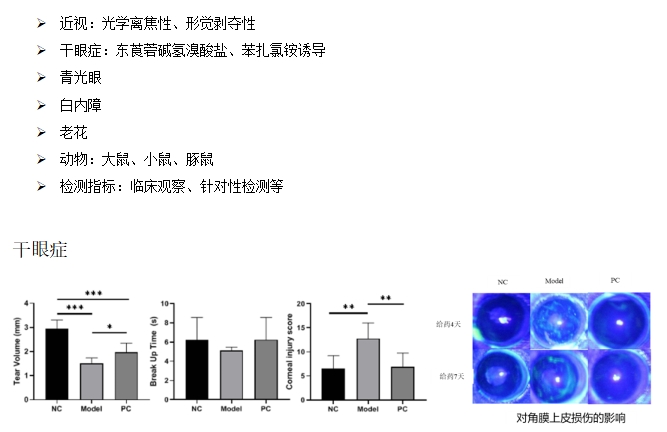 尊龙凯时人生就是博(中国)Z6官网