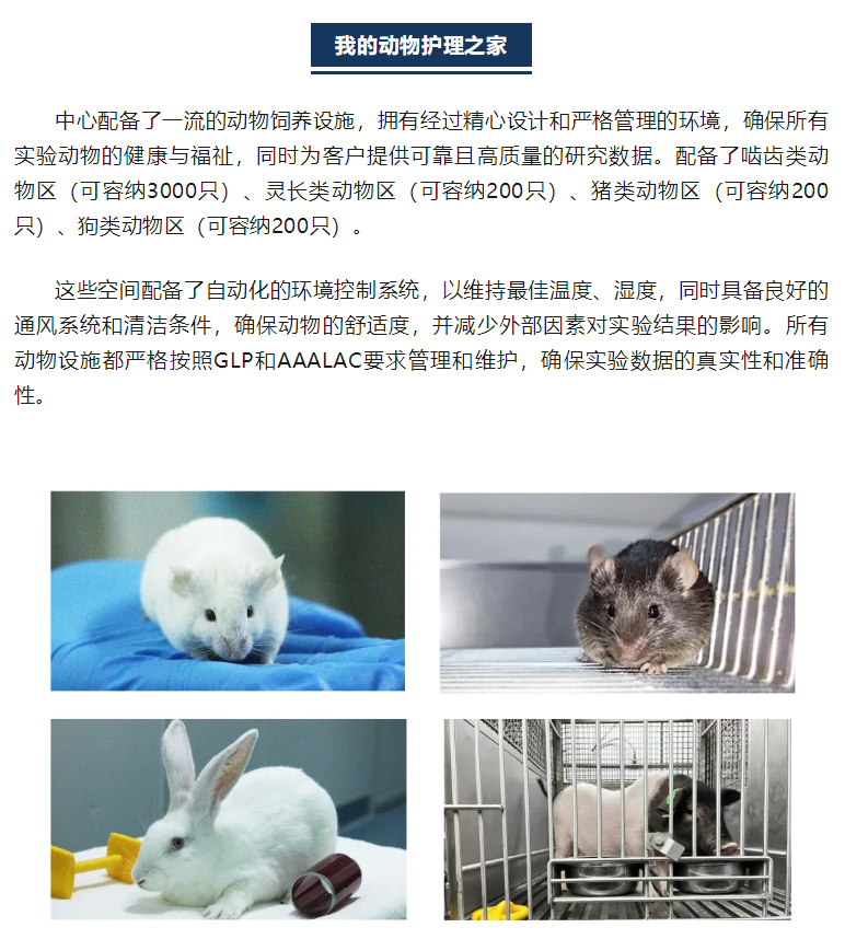 尊龙凯时人生就是博(中国)Z6官网