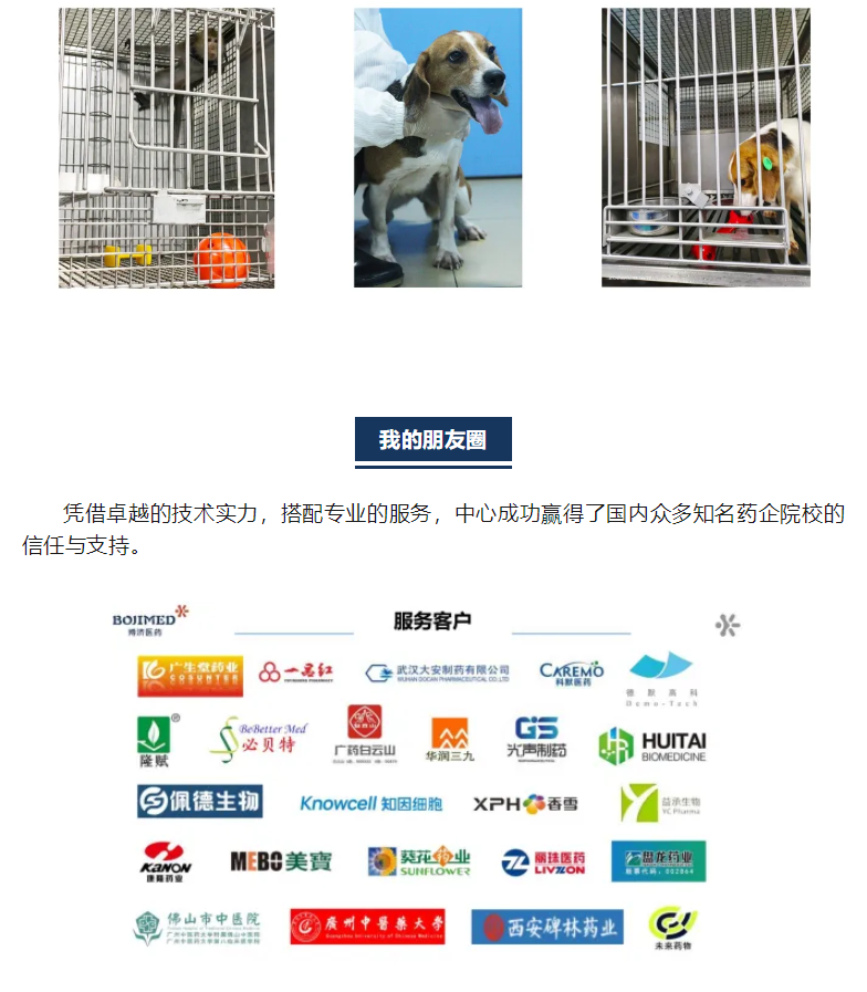 尊龙凯时人生就是博(中国)Z6官网